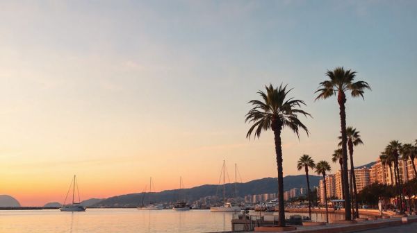 Découvrez les services web personnalisés à Nice pour briller en ligne