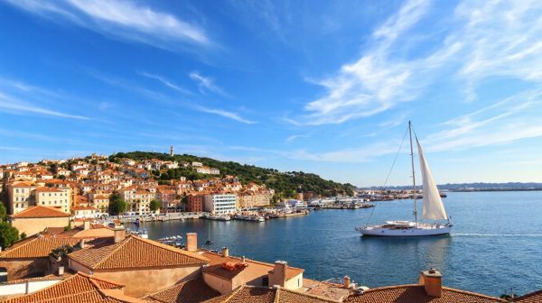 Guide complet pour un site web à Marseille : coûts et processus